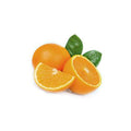 ORANGE ESSENCE 15ml<h6>Citrus Aurantium Dulcis</h6> - Okapi Bay